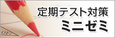 定期テスト対策ミニゼミ
