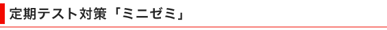 ミニゼミ